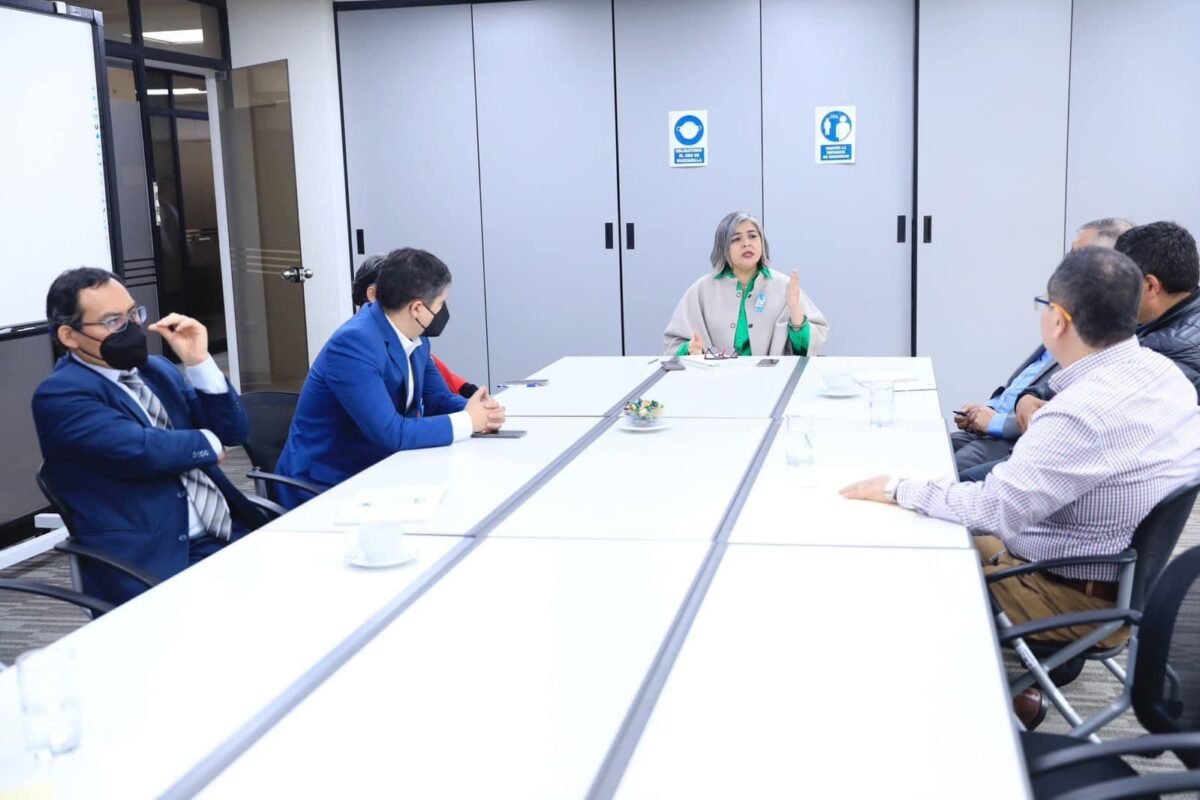 MINISTRA DE ENERGÍA Y MINAS SE REUNIÓ CON DIRIGENTES DEL STAPP