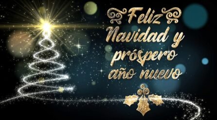 “FELIZ NAVIDAD Y PROSPERO AÑO NUEVO” LES DESEA EL STAPP